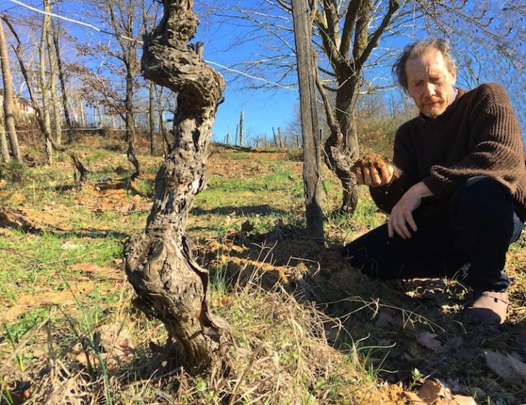 Stefano Bellotti, cultura do vinho natural italiano